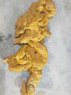 My poop